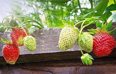 传《夺宝奇兵》零售预购比《龙腾世纪：影障守护者》还低了86%